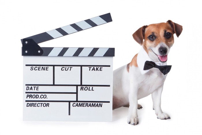 映画と犬