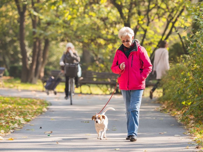 犬と散歩する年配の女性