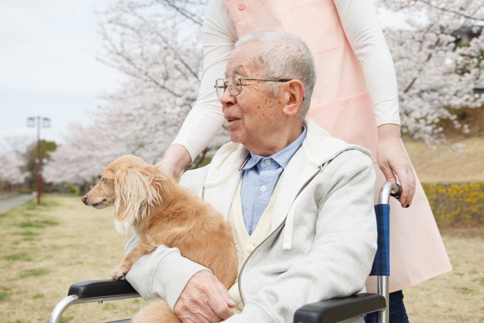 車椅子で散歩するおじいちゃんと犬