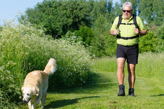 老人と犬の散歩 