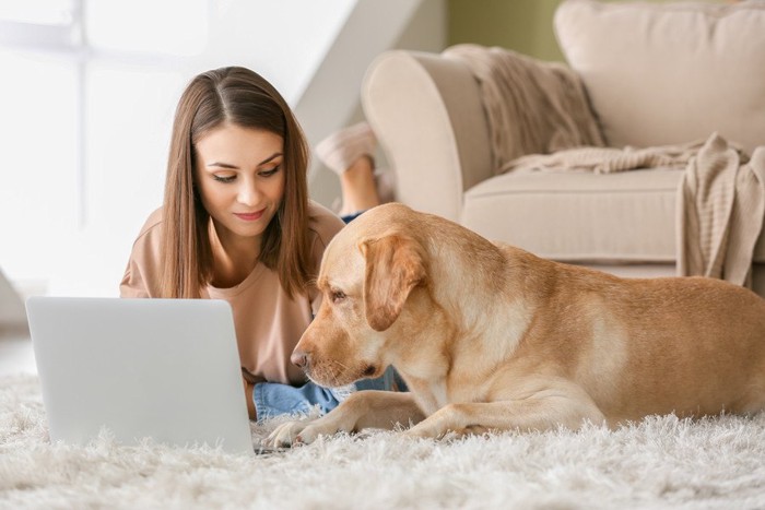 一緒にパソコンを見ている人と犬