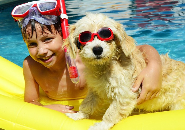 プールで遊ぶ男の子と犬