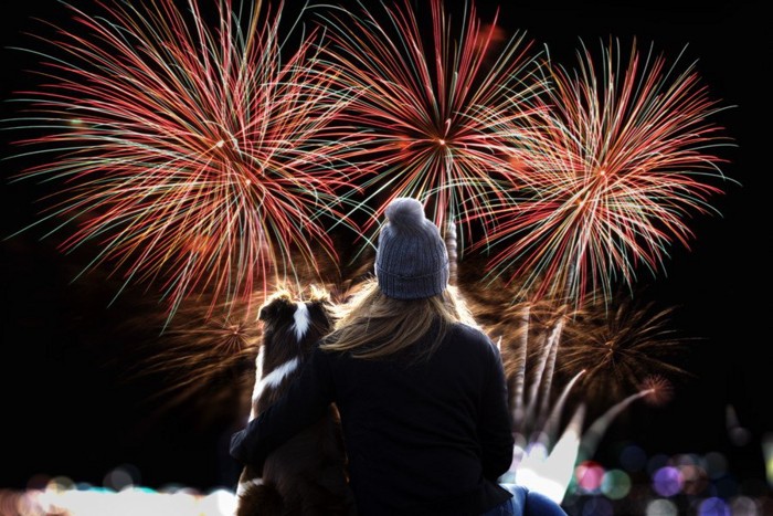 花火を見る犬と女性