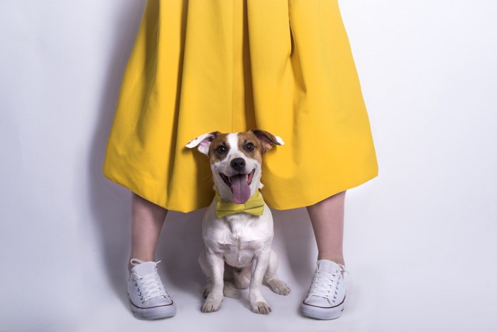 スカートの女性と犬