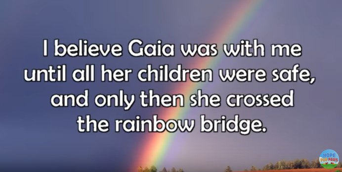 虹の橋