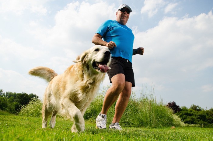 ジョギングする男性と犬