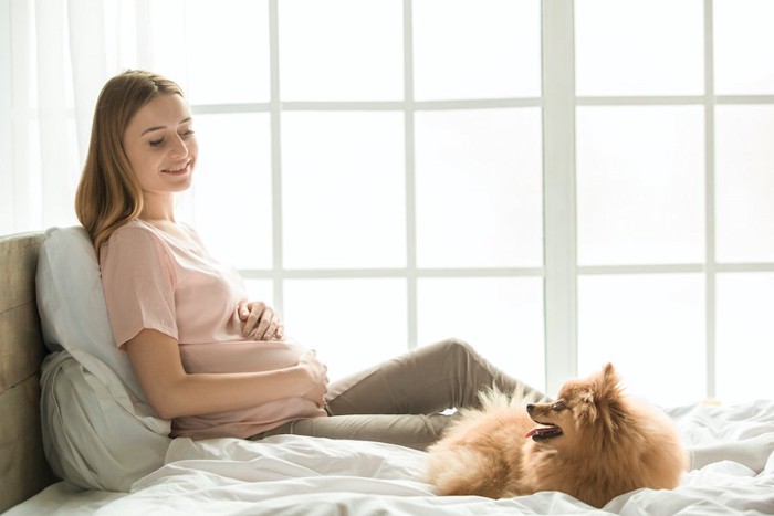 ベッドの上で妊婦さんと見つめ合う犬
