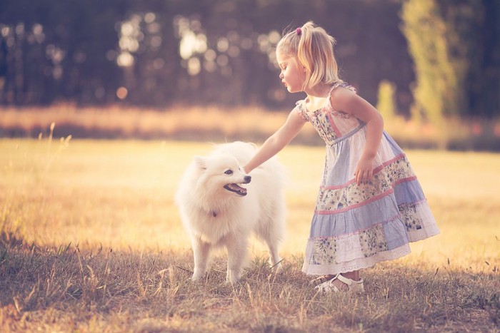 女の子と屋外で遊ぶ白い犬