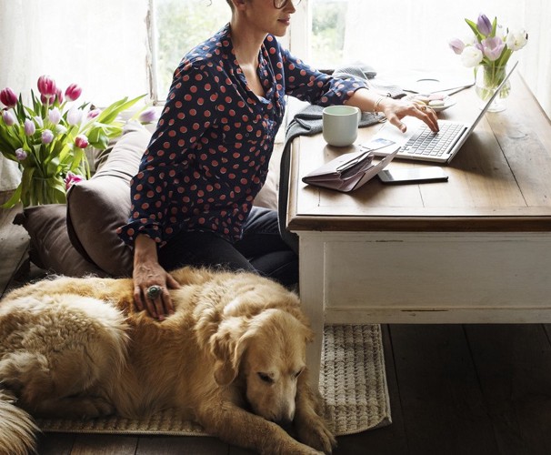 ホームオフィスで仕事をする女性と犬