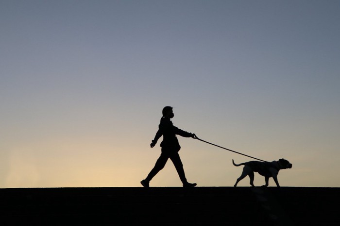 犬と散歩する女性のシルエット