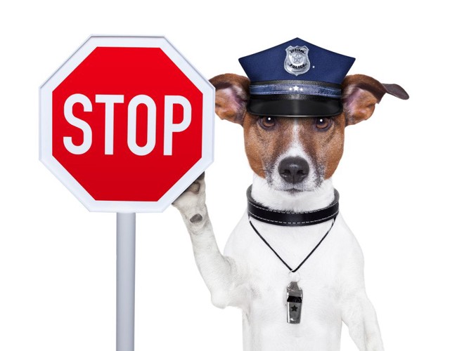 STOPの看板と警察の犬