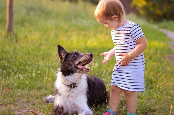 お散歩している小さい女の子と犬