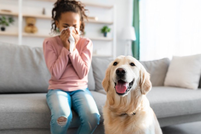 犬アレルギーの少女と犬