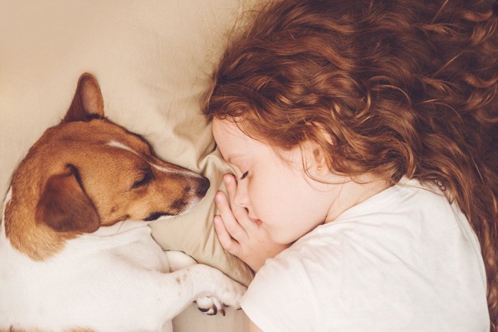眠っている犬と女の子