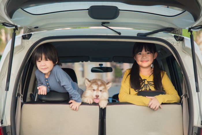 車の中の子供たちと子犬