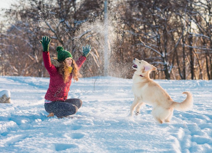雪の中で一緒に遊ぶ女性と犬