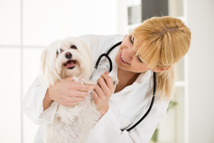 笑顔の獣医師と犬