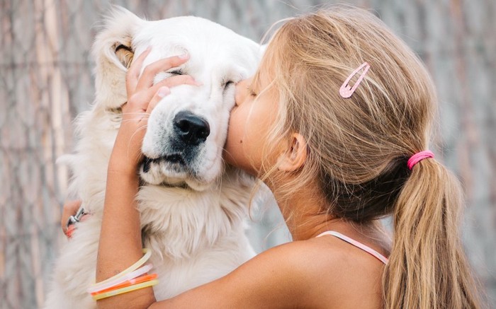 女の子に無理やりキスをされている白い犬