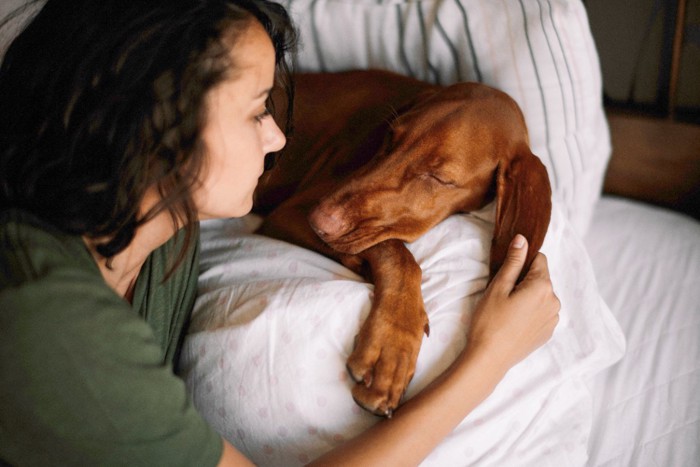 ベッドの犬と女性