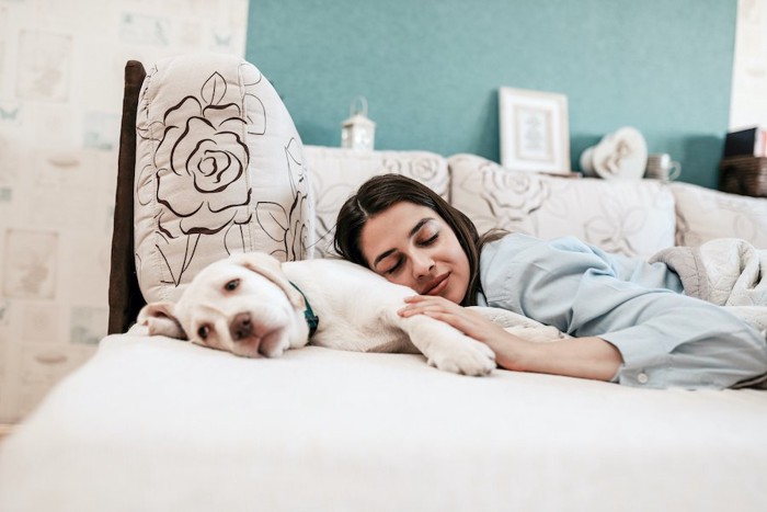 ベッドで眠る犬に寄り添う女性