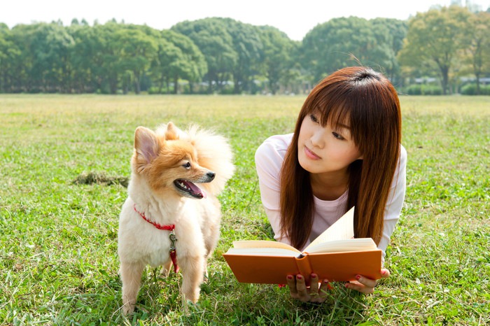 ペットシッターの勉強中の人と犬
