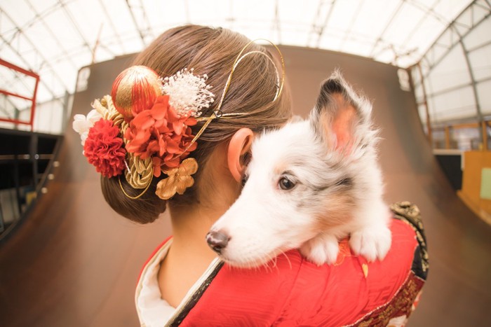 赤い振袖を着た女性と白毛の犬