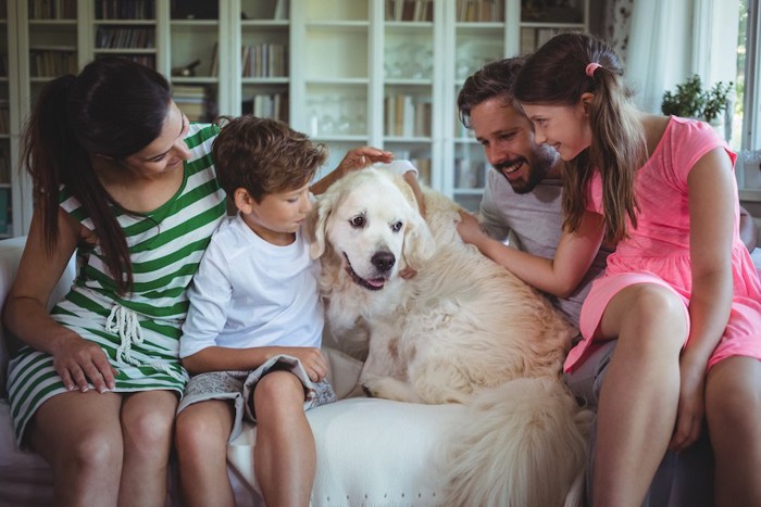 ソファーで寄り添う家族と犬