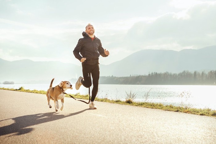 犬と一緒にジョギングをする男性