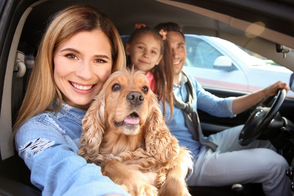 乗車している犬と家族