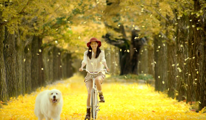 自転車の女性と犬