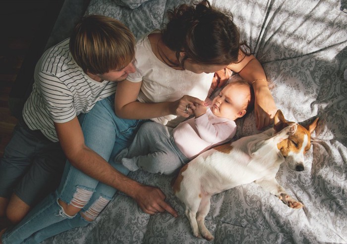 ベッドでくつろぐパパとママと赤ちゃんと犬