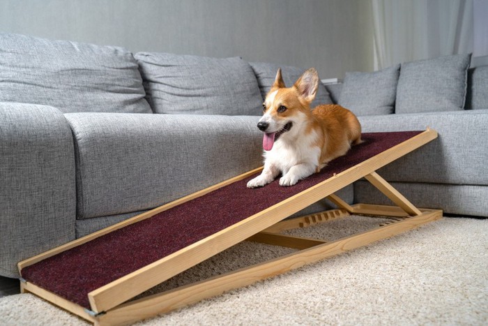 犬用のソファー用スロープ