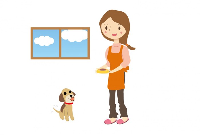 犬と食事を与える女性（イラスト）