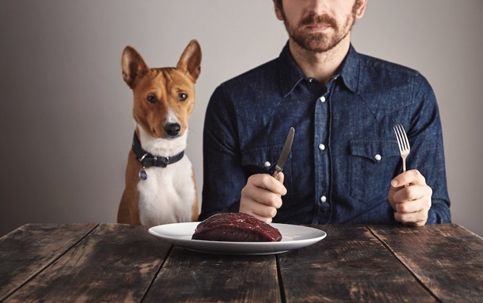 ステーキを食べようとする男性と犬