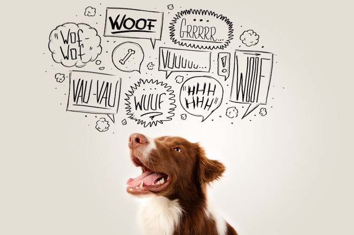口を開ける犬と様々な鳴き声の文字