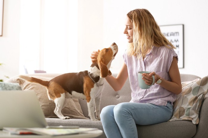 コーヒーカップを片手に持つ女性と犬