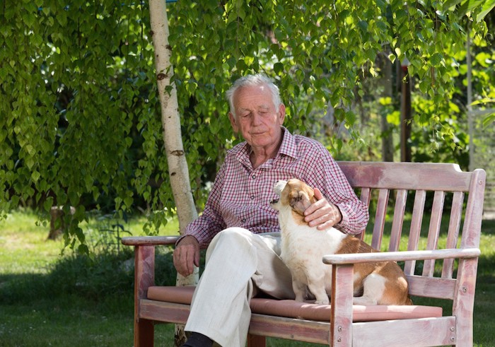 老人とベンチでくつろぐ犬