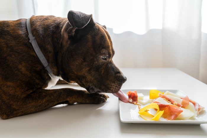 テーブルの上のお皿に乗った生ハムを食べる犬