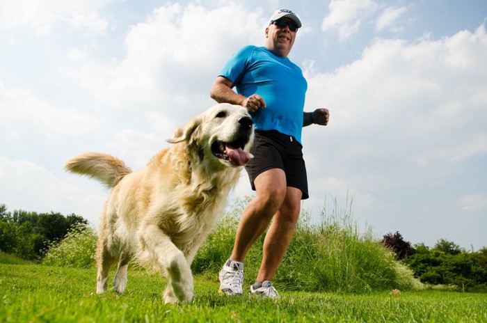 ジョギングをしている男性と犬