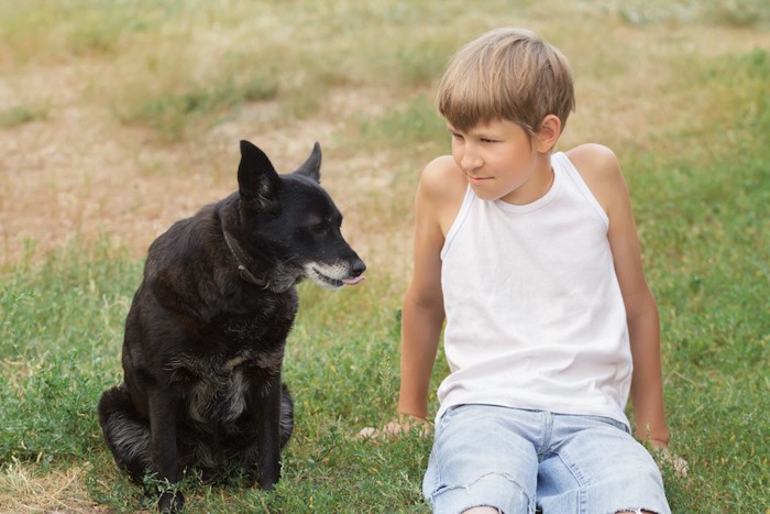 芝生の上に座る少年と黒い犬